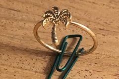 bling-ring-26072019