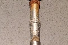 hondenfluit 19122018