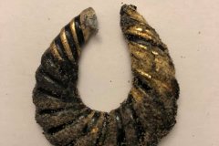 oorring-2272020