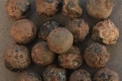 loden-bolletjes-12102019