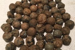 loden-bolletjes-23102019