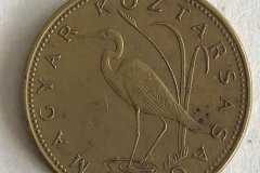 5-forint-achter-9102021