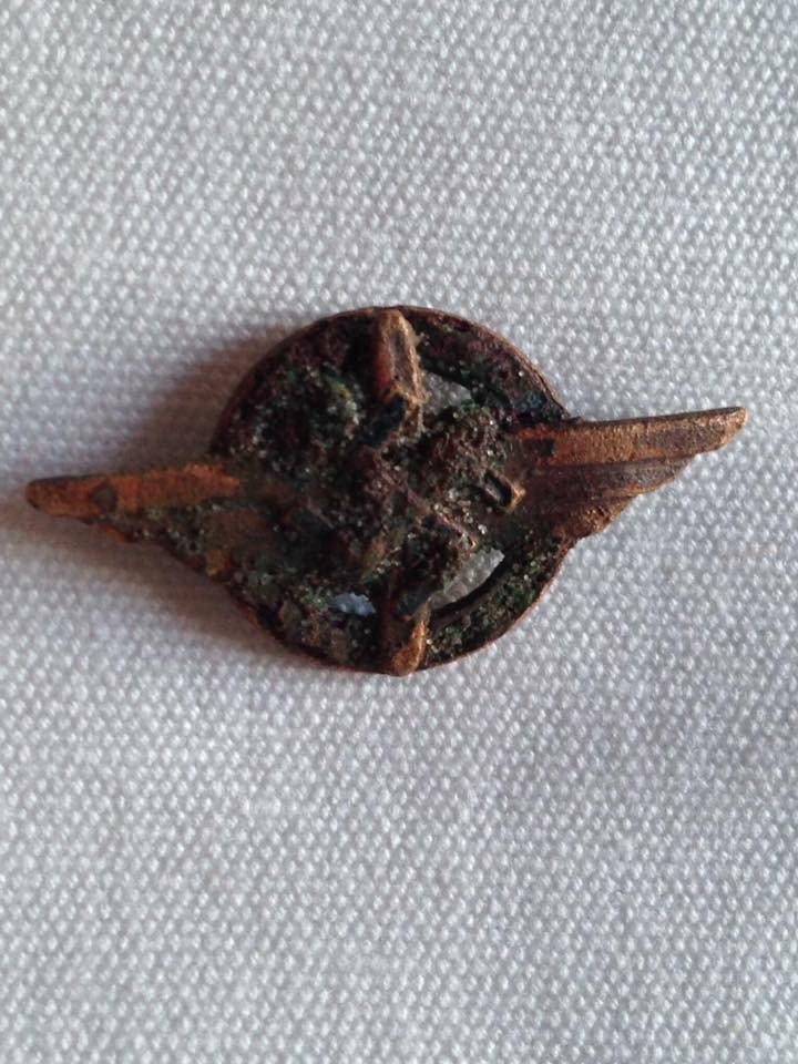 Nazi pin